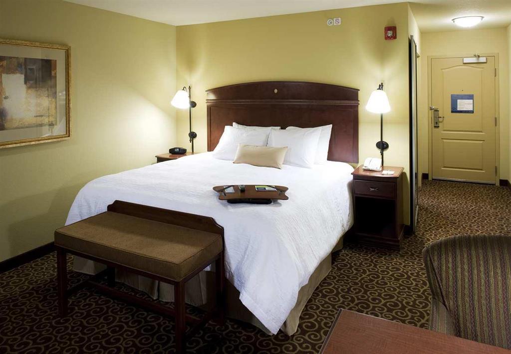 Hampton Inn & Suites Rochester-North Kamer foto